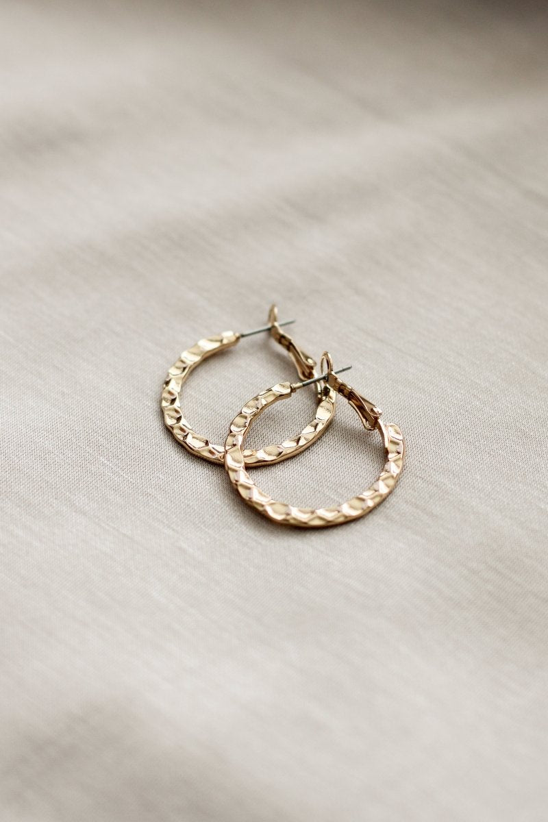 Aros ALELÍ - Amanda Moda