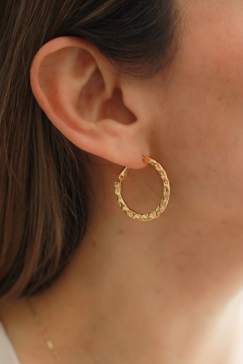 Aros ALELÍ - Amanda Moda