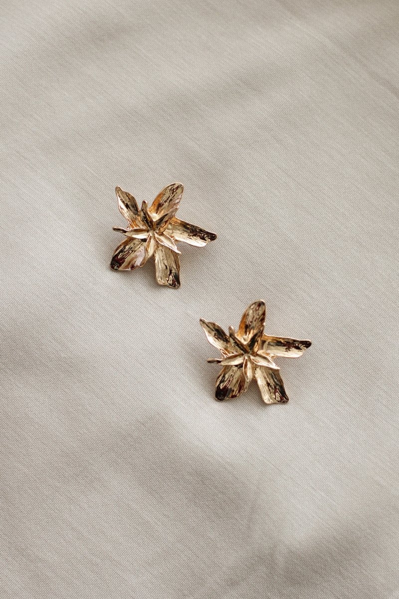 Aros LIRIO - Amanda Moda