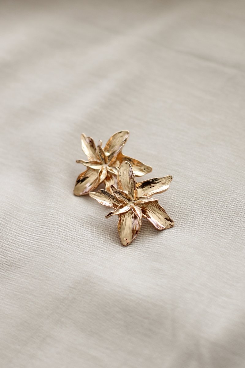 Aros LIRIO - Amanda Moda