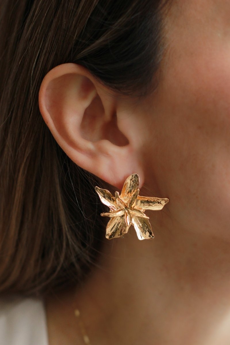 Aros LIRIO - Amanda Moda